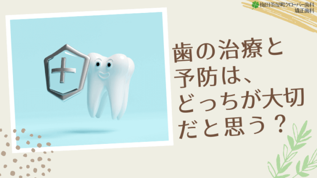 歯の治療と予防、どっちが大切だと思う？